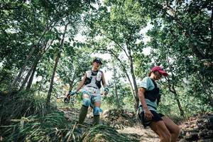 BIB: 
                            <button type="button" onclick="openModal(25987160)" class="btn btn-primary btn-sm float-right btn-popup" data-toggle="modal" data-target=".modal-high-quality">
                        <i class="fas fa-shopping-cart"></i> Add to Cart
                    </button>
                                            <button type="button" onclick="isThisMe(25987160, true)" class="btn btn-success btn-sm float-right btn-popup btn-isme hidden" data-toggle="tooltip" data-placement="bottom" title="นี่คือรูปของคุณใช่ไหม คลิกที่นี่เพื่อเอาเข้าอัลบั้ม">
                        <i class="fas fa-plus"></i> Add to album
                    </button>
                    <button type="button" onclick="isThisMe(25987160, false)" class="btn btn-warning btn-sm float-right btn-popup btn-isnotme hidden">
                        <i class="fas fa-ban"></i> Remove from album
                    </button>